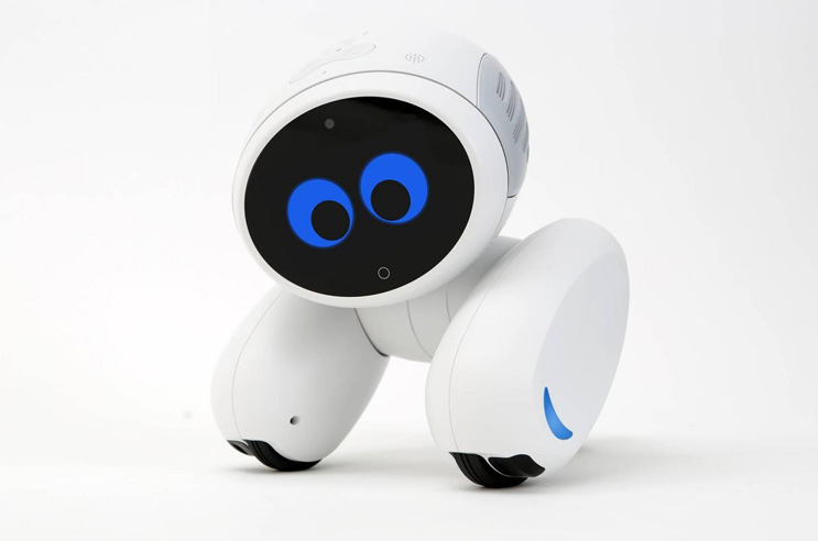 Intelligent Robot